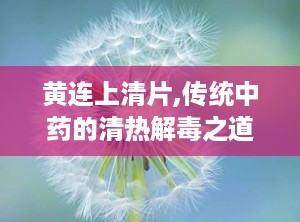 黄连上清片,传统中药的清热解毒之道