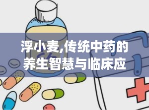 浮小麦,传统中药的养生智慧与临床应用