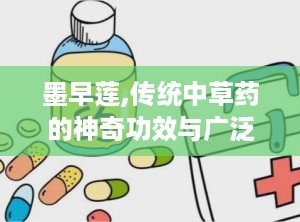 墨早莲,传统中草药的神奇功效与广泛应用