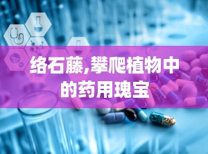 络石藤,攀爬植物中的药用瑰宝