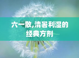 六一散,清暑利湿的经典方剂