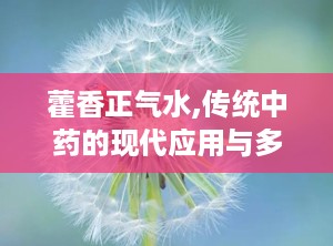 藿香正气水,传统中药的现代应用与多重功效解析