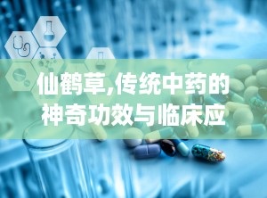 仙鹤草,传统中药的神奇功效与临床应用解析