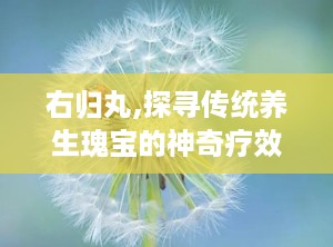 右归丸,探寻传统养生瑰宝的神奇疗效