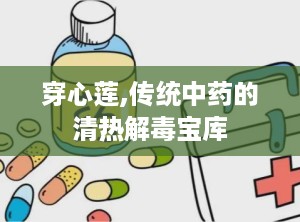 穿心莲,传统中药的清热解毒宝库