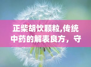 正柴胡饮颗粒,传统中药的解表良方，守护您的健康防线