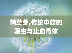 鹤草芽,传统中药的驱虫与止血奇效