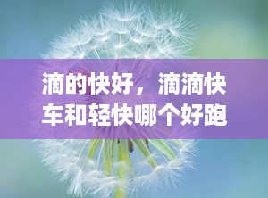 滴的快好，滴滴快车和轻快哪个好跑