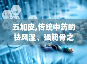 五加皮,传统中药的祛风湿、强筋骨之宝