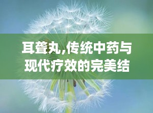 耳聋丸,传统中药与现代疗效的完美结合