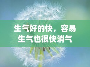 生气好的快，容易生气也很快消气