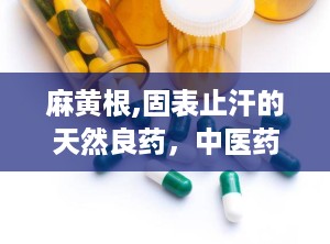 麻黄根,固表止汗的天然良药，中医药宝库中的瑰宝