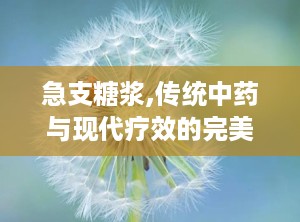 急支糖浆,传统中药与现代疗效的完美结合