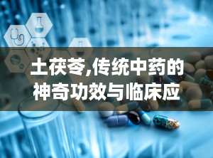 土茯苓,传统中药的神奇功效与临床应用