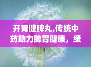 开胃健脾丸,传统中药助力脾胃健康，缓解消化不良困扰