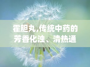 霍胆丸,传统中药的芳香化浊、清热通窍之道