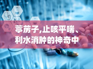 葶苈子,止咳平喘、利水消肿的神奇中药