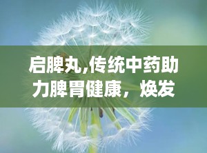 启脾丸,传统中药助力脾胃健康，焕发活力新篇章