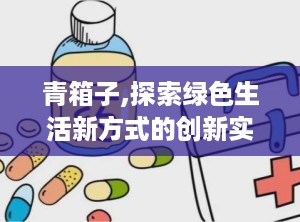 青箱子,探索绿色生活新方式的创新实践