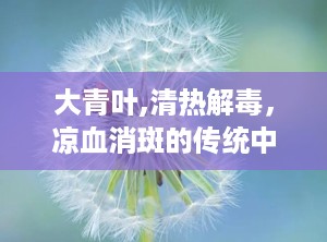 大青叶,清热解毒，凉血消斑的传统中药宝库