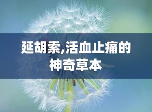 延胡索,活血止痛的神奇草本