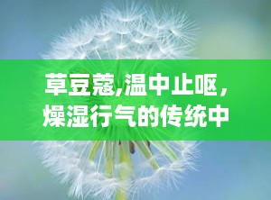 草豆蔻,温中止呕，燥湿行气的传统中草药解析