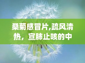 桑菊感冒片,疏风清热，宣肺止咳的中成药解析