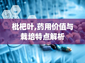 枇杷叶,药用价值与栽培特点解析