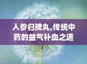 人参归脾丸,传统中药的益气补血之道