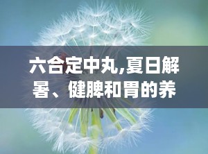 六合定中丸,夏日解暑、健脾和胃的养生良方