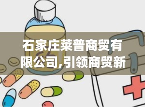 石家庄莱普商贸有限公司,引领商贸新潮流的本土企业