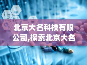 北京大名科技有限公司,探索北京大名科技有限公司的创新之路