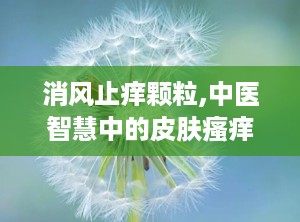 消风止痒颗粒,中医智慧中的皮肤瘙痒克星