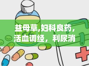 益母草,妇科良药，活血调经，利尿消肿的神奇功效