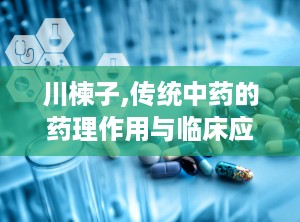 川楝子,传统中药的药理作用与临床应用