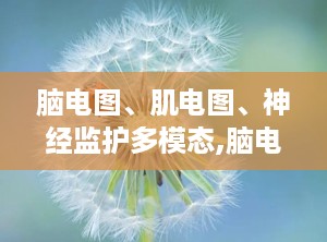 脑电图、肌电图、神经监护多模态,脑电图、肌电图与神经监护技术的融合应用