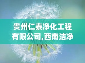 贵州仁泰净化工程有限公司,西南洁净系统专家，助力医疗洁净工程创新发展