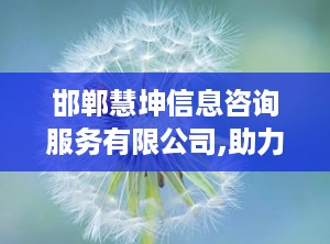 邯郸慧坤信息咨询服务有限公司,助力企业智慧发展的专业顾问