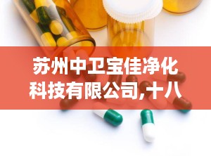 苏州中卫宝佳净化科技有限公司,十八年净化工程领域的创新引领者