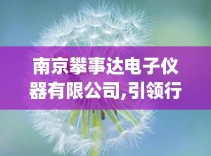 南京攀事达电子仪器有限公司,引领行业发展的创新力量