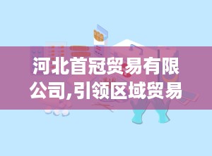 河北首冠贸易有限公司,引领区域贸易新篇章