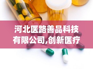 河北医路善品科技有限公司,创新医疗解决方案的引领者