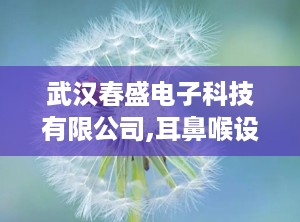 武汉春盛电子科技有限公司,耳鼻喉设备专家——武汉春盛电子科技有限公司引领行业创新