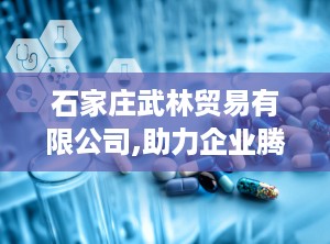 石家庄武林贸易有限公司,助力企业腾飞，共创辉煌未来