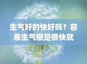 生气好的快好吗？容易生气但是很快就好了