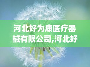 河北好为康医疗器械有限公司,河北好为康医疗器械有限公司引领创新之路