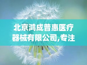 北京鸿成普惠医疗器械有限公司,专注创新，助力健康未来