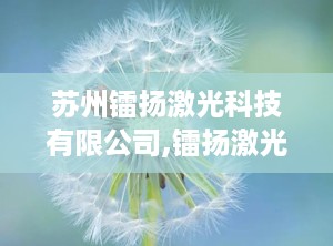 苏州镭扬激光科技有限公司,镭扬激光引领工业加工新篇章