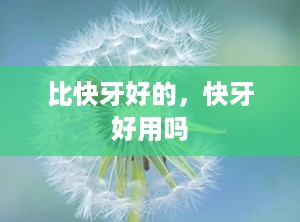 比快牙好的，快牙好用吗