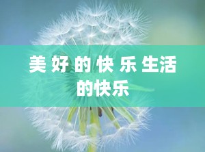 美 好 的 快 乐 生活的快乐